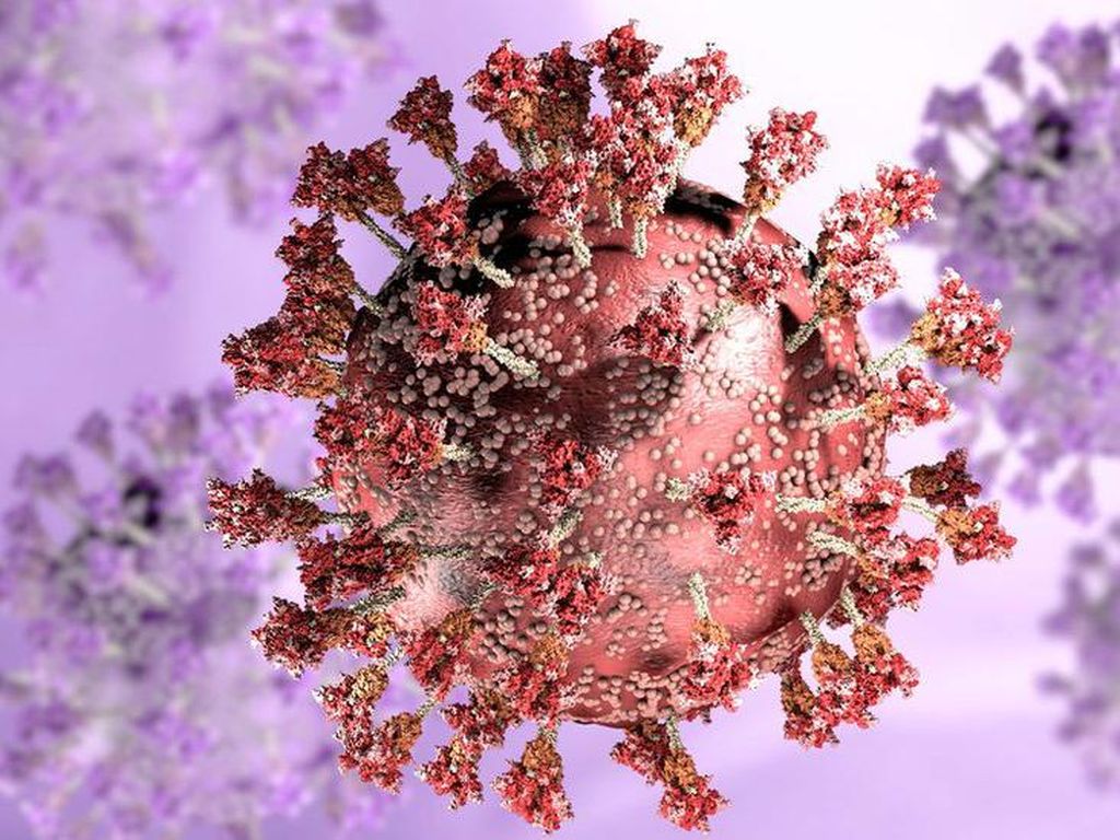 Muncul Varian Flurona Koinfeksi dari Influenza-COVID-19, Ini Penjelasan Pakar