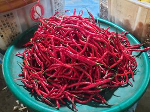 Harga Cabai Merah hingga Telur Meroket, DKI Prediksi Turun Bulan Depan