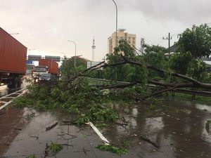 Pohon Tumbang Timpa Mobil di Km 15 Tol Surabaya-Sidoarjo