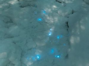 Misteri Padang Salju Mendadak Bercahaya Biru