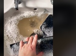 Viral Video Dampak Sisir Rambut yang Tak Pernah Dicuci, Bikin Jijik!