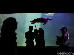 Ancol Tutup Jam Berapa? Ini 4 Info Jelang Tahun Baru