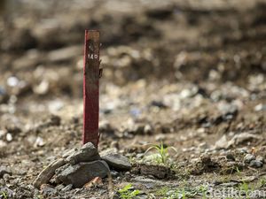 PDIP Wanti-wanti Formula E di Ancol, Singgung Penebangan Pohon di Monas