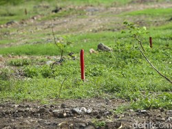 Pemenang Tender Sirkuit Diumumkan saat Balapan Formula E Kurang 4 Bulan