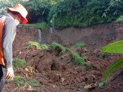 Irigasi Longsor, 10 Hektar Sawah di Sukabumi Terancam Gagal Panen