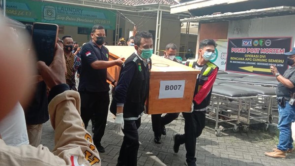 korban erupsi semeru