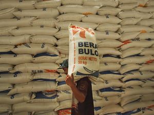 Jatim Tolak Impor Beras, Siap Pasok Kebutuhan Bulog Jatim Tolak Impor Beras, Siap Pasok Kebutuhan Bulog