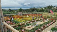 Potret Tapos Garden, Kafe Asyik di Tengah Taman Bunga yang Cantik