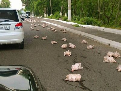 Kalau Ketemu 10 Orang Model Begini Mending Jangan Direkrut Kerja Deh