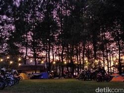Liburan Akhir Tahun? Coba Kemping di Hutan Pinus Bogor
