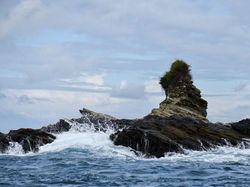 Pulau Gorgona, Alcatraz-nya Kolombia, Tempat Politisi Korup Dibuang