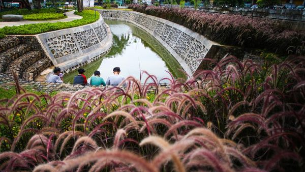 Secuil Perwujudan Kota Ramah Lingkungan di Taman Bio Trans Jakpus