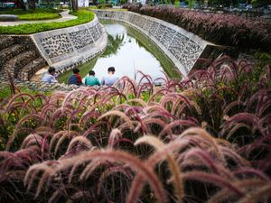 Secuil Perwujudan Kota Ramah Lingkungan di Taman Bio Trans Jakpus
