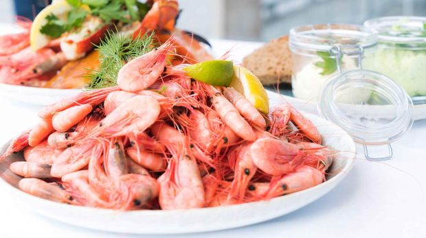 Ilustrasi udang