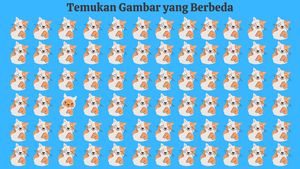 Jelang Tutup Tahun Biasanya Nggak Fokus, Bisa Temukan Gambar yang Beda?