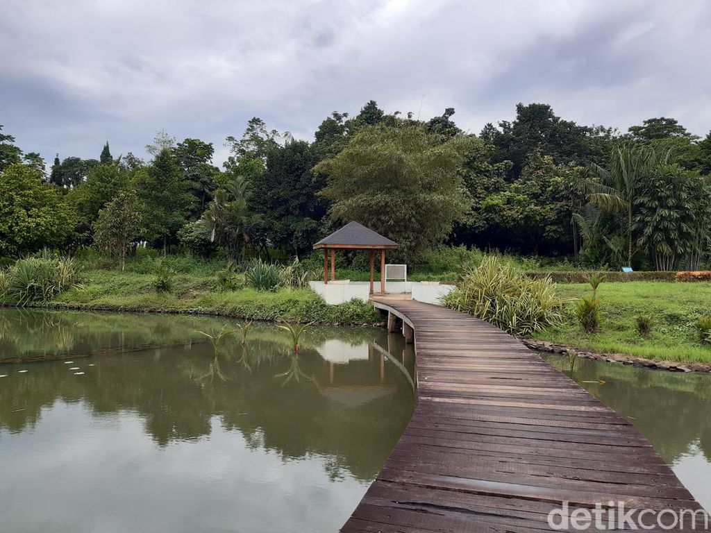 Foto: Bukan Kebun Raya Bogor, Ini Kebun Raya Cibinong
