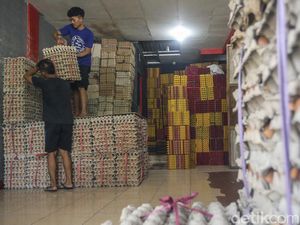 Harga Telur Melambung, Omzet Agen Menurun