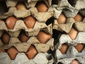 Kemendag Klaim Harga Telur Mulai Turun, Bagaimana Faktanya?