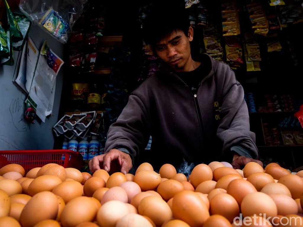 Ini Dia Penyebab Harga Telur Ayam Melejit, Bikin Peternak Tercekik