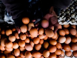 Harga Minyak Goreng Mahal, Eh Telur Ayam Juga Naik Jadi Rp 25.000/Kg