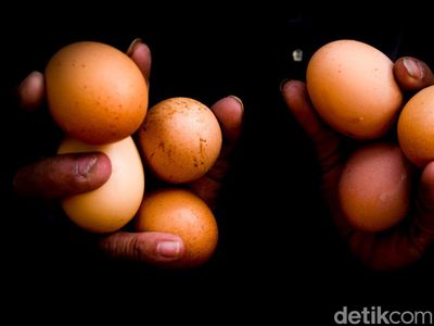 Harga Telur Masih Tinggi Jelang Pergantian Tahun
