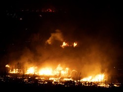 Kebakaran Hutan Dahsyat di AS, Ribuan Warga Ngungsi-Ratusan Rumah Hancur