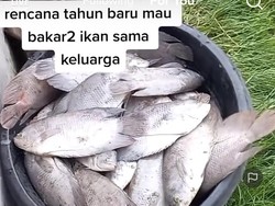 Viral Ingin Bakar Ikan Malam Tahun Baru, Ikan di Kolam Malah Mati Semua