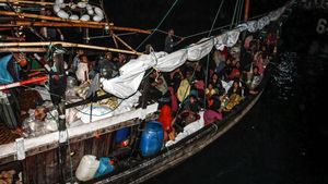 Momen Evakuasi Ratusan Pengungsi Rohingya di Aceh