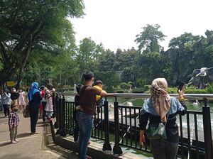 Antusiasme Pengunjung Ragunan Saat Akhir Tahun, Begini Suasananya