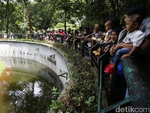 Kebun Binatang Ragunan Ramai Dikunjungi Warga