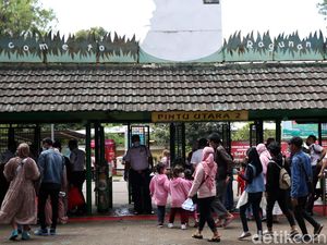 Ragunan Ramai Pengunjung, Pedagang Tikar Bersyukur Omzet Naik Ragunan Ramai Pengunjung, Pedagang Tikar Bersyukur Omzet Naik