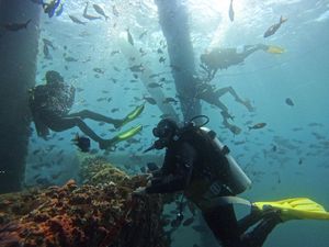 Wow! Tukang Las Bawah Laut Punya Gaji Fantastis, Bisa Sampai Rp 1 M Wow! Tukang Las Bawah Laut Punya Gaji Fantastis, Bisa Sampai Rp 1 M