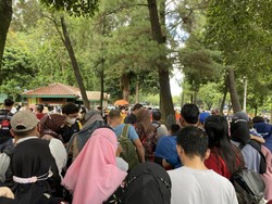 Pengunjung Ragunan Membeludak, Masih Ada yang Tak Punya Tiket Online