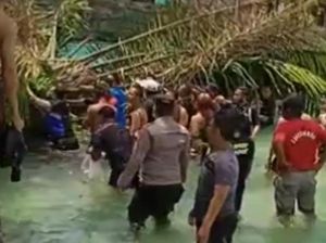 Cabang Pohon Sawit Tumbang Timpa Pengunjung Tempat Wisata di Tasik