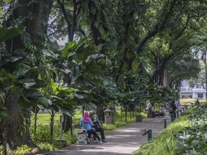Tren Wisata Ramah Lingkungan, Emangnya Seru?