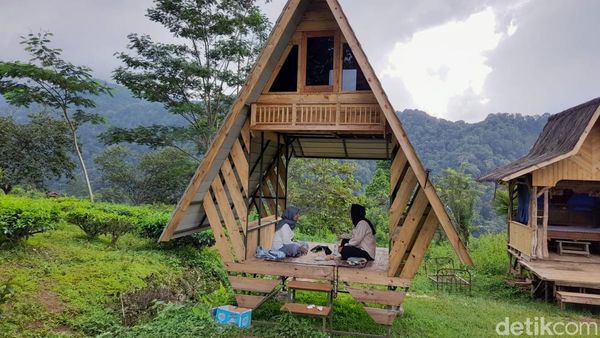 Menikmati Keheningan Alam Perkebunan Teh Margawindu Sumedang