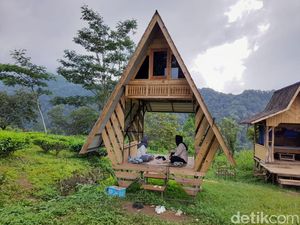 Menikmati Keheningan Alam Perkebunan Teh Margawindu Sumedang