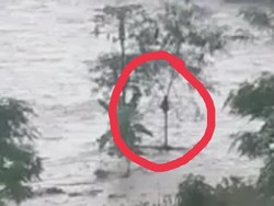 Detik-detik Pria Terseret Banjir Sungai Polaga, Sempat Panjat Pohon 1 Jam