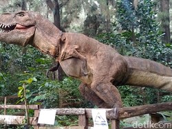 Bukan Disneyland, Ini Sarang T-Rex di Pekalongan