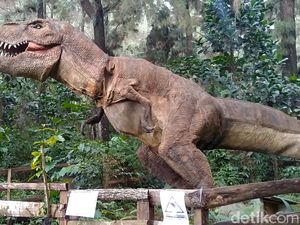 Bukan Disneyland, Ini Sarang T-Rex di Pekalongan Bukan Disneyland, Ini Sarang T-Rex di Pekalongan
