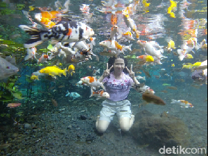 Wisata Foto Underwater di Kaki Gunung Semeru Wisata Foto Underwater di Kaki Gunung Semeru