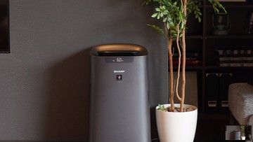 Imbas Abu Anak Krakatau, Penjualan Air Purifier Sharp Naik 3 Kali Lipat - Infolitik