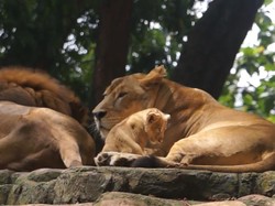 5 Rekomendasi Wisata Primadona di Kota Bandung 2023