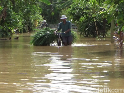Sungai Meluap Rendam 60 Rumah Warga Desa di Lumajang