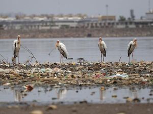 Startup Pengelolaan Sampah Dapat Suntikan dari Fund