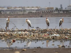 Startup Pengelolaan Sampah Dapat Suntikan dari Fund