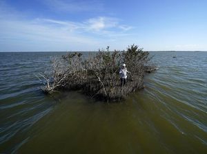 Pakar NASA Sebut Suhu Bumi Makin Panas di 2023