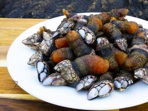 Lebih Mahal dari Lobster! Seafood Seram Ini Rp 3 Juta per Kilogram Lebih Mahal dari Lobster! Seafood Seram Ini Rp 3 Juta per Kilogram