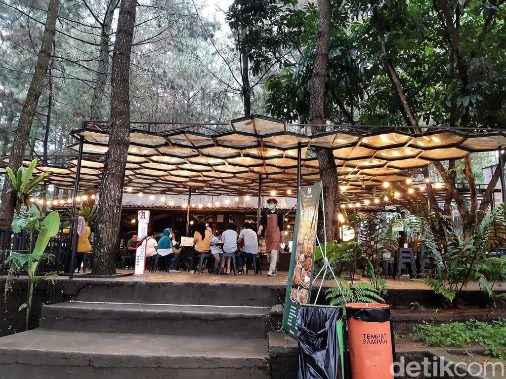 5 Kafe Hutan yang Asri, Bisa Buat Kumpul Keluarga 5 Kafe Hutan yang Asri, Bisa Buat Kumpul Keluarga