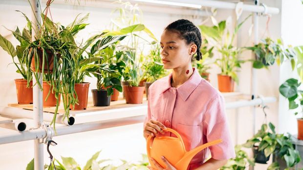 Ilustrasi menyiram tanaman